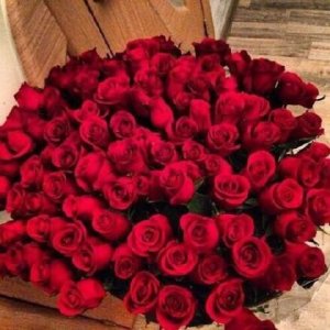 ​适合看海发朋友圈的句子[20条] (第一次看海的心情说说短句)