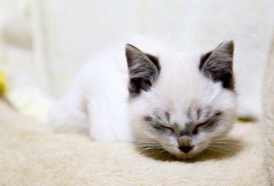 ​《非诚勿扰》主持人孟非经典语录30句