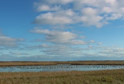 ​盲探经典台词_经典台词