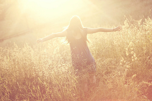 有关天鹅的励志短句(15句)