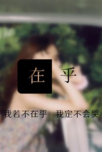 ​对感情不在乎了的句子 表示一个人对感情很冷漠后来又很在乎的句子