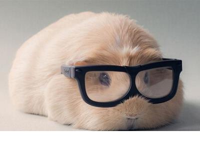 努力挣钱的句子霸气