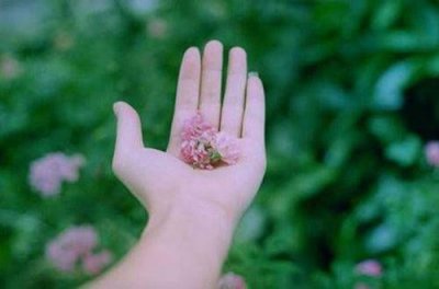 ​早安正能量语录一句话集合28句