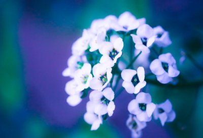 ​30岁男人励志的句子