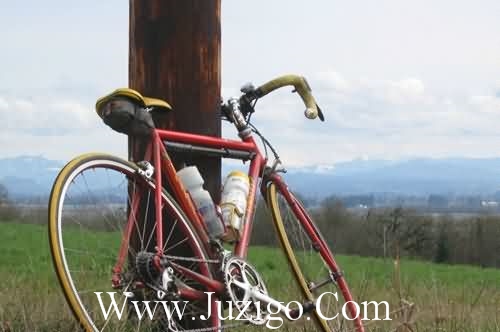 超火励志个性签名(18句)