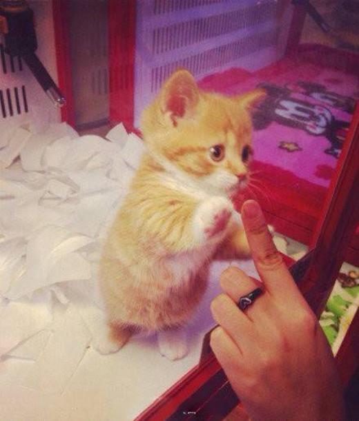 励志职场人生格言