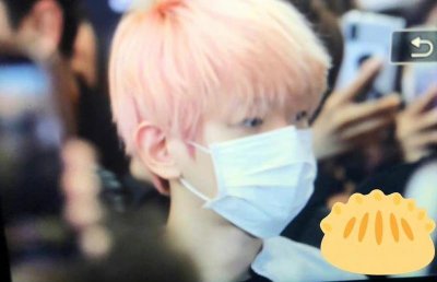 ​描写樱桃开花的句子精选90句