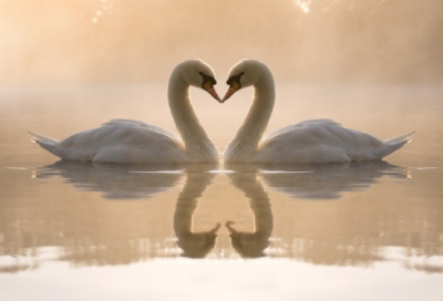 ​皮到爆炸的句子