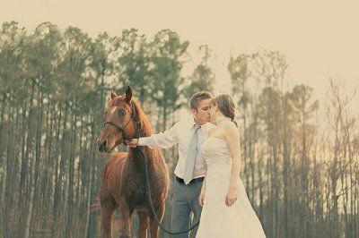 ​关于猴的英文谚语