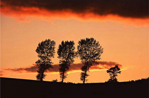 不把希望寄托在别人身上的句子 不把希望寄托于任何人的说说