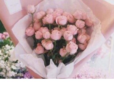 2023年形容计划被打乱的句子