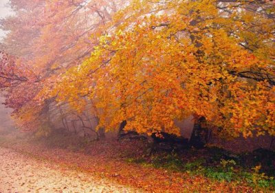 ​时间会证明一切经典语录