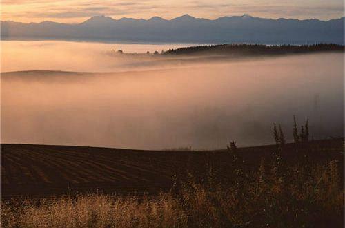 520官宣领证的文案