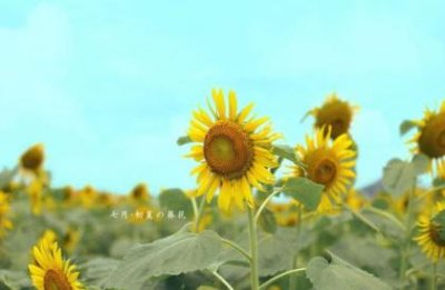 ​qq励志说说配图(qq说说励志图片)