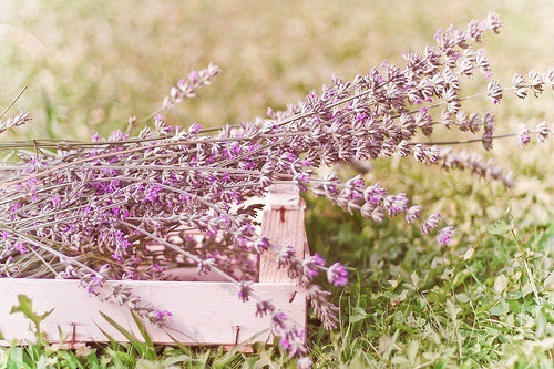 百岁老人生日发朋友圈的句子(17句)