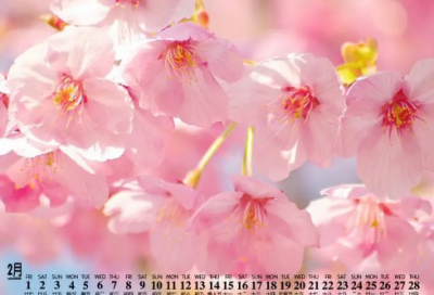 ​好听的论坛昵称大全(优选64个)