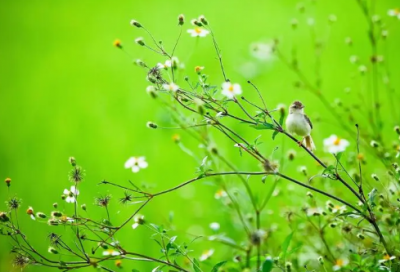 ​王者荣耀有创意的名字(精选74个)