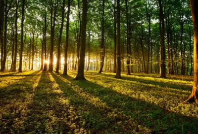 ​好听的欧美风网名(68个)