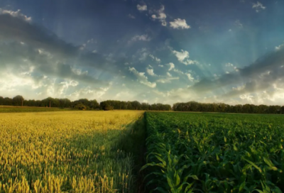 ​快手取名好听的名字(精选72个)