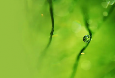 ​感动换不来爱qq网名(优选76个)