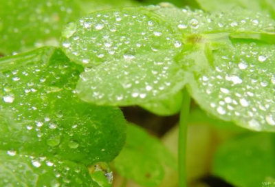 ​台球厅吸引人的名字(72个)