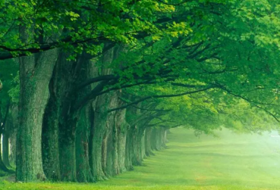 ​大气好记的社区名字(精选71个)