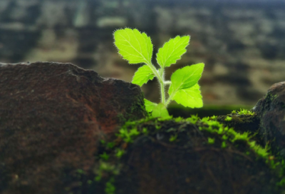 ​吃鸡三人开黑专用名字(共92个)