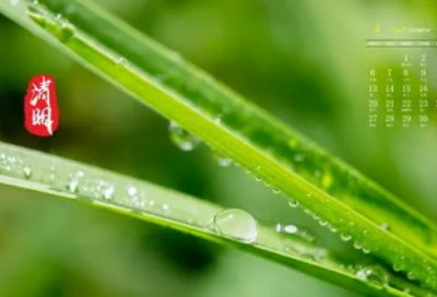 ​花店有创意的名字(69个)