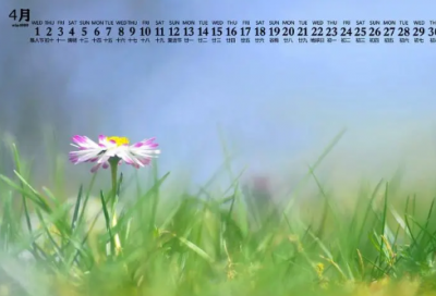 ​形容一个人很忙的昵称(精选60个)