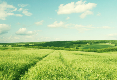 ​面馆取名字大全(精选72个)