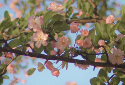 ​独一无二的米粉店名字(精选65个)