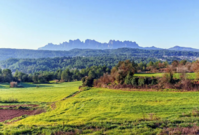 ​带有辣椒的个性网名