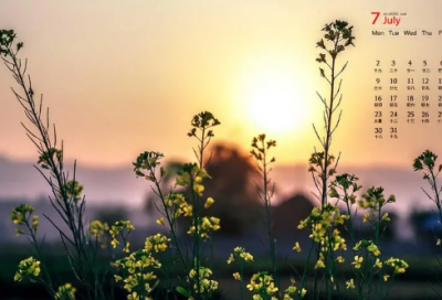 ​听起来很可怜的名字(60个)