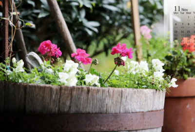 ​减肥店洋气好听的名字(精选72个)