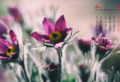 ​瞬间治愈你的简单网名(68个)