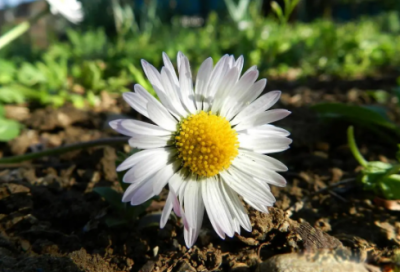 ​流年玩爱qq网名