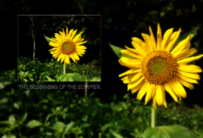 ​独一无二好听的网名(69个)