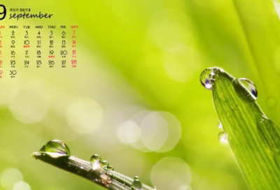 ​富有哲理的网名(63个)