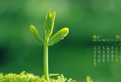 ​快乐至上幸福网名(精选66个)