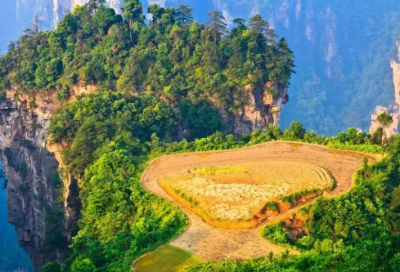 ​带有博字的唯美昵称(62个)