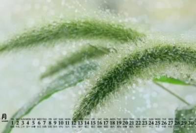 ​英语网名大全带翻译(64个)