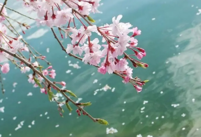 ​有创意茶店名字大全(精选78个)