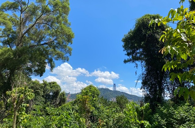 简单干净的游戏名字 温柔干净的游戏id