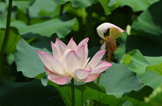 超有氛围感的网名 好听的氛围感名字