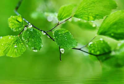 ​让人直呼惊艳的抖音网名(59个)