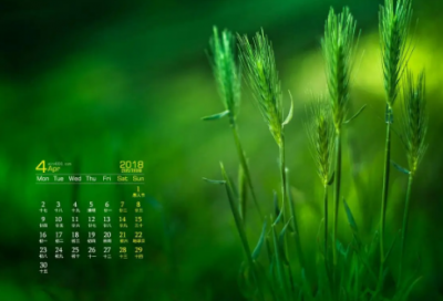 ​最新最潮的童装店名字(62个)