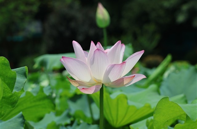 超拽搞笑网名精选