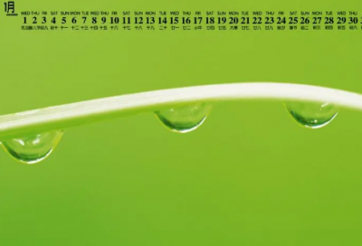 ​宠物店好听且寓意深刻的名字(精选55个)