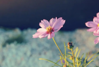 ​有内涵的教育名字大全(共29个)