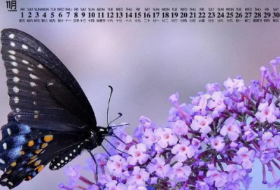 ​优雅诗意的公会名字(77个)